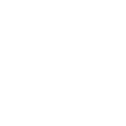 Skull Labs