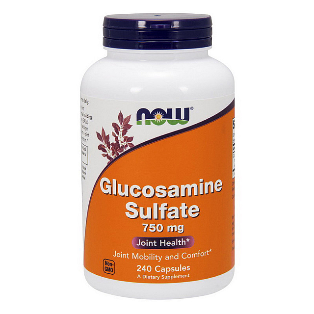 Glucosamine Sulfate 750 mg (240 caps)  