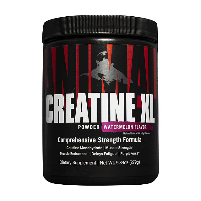 Creatine XL (279 g) Fruit punch 